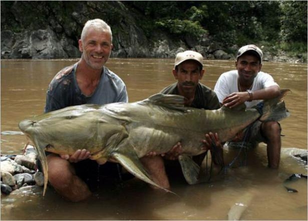 Bu Korkunç Balıklar Nehirlerde Yaşıyor! 67