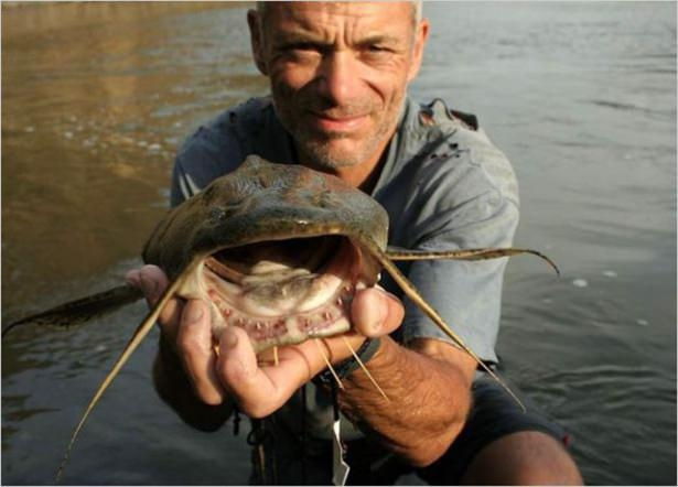 Bu Korkunç Balıklar Nehirlerde Yaşıyor! 69