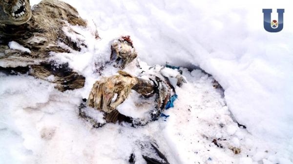 Buzlar Eridi 55 Yıllık Cesetler Ortaya Çıktı 7