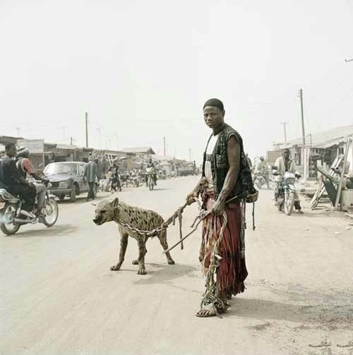 Afrika’nın Evcil Hayvanları! 24