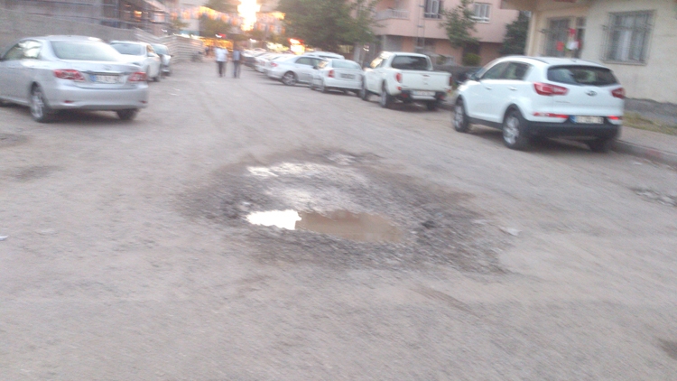 Batman Belediyesine Kızdı, Web Sitesi Açtı 16