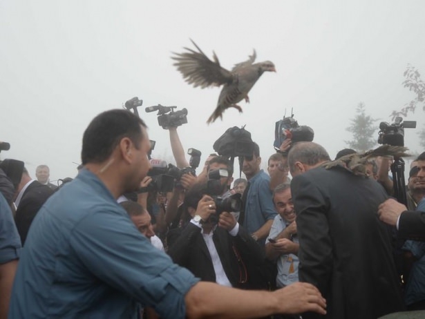 Cumhurbaşkanı Erdoğan'ın başına keklik kondu 10