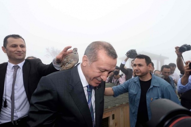 Cumhurbaşkanı Erdoğan'ın başına keklik kondu 11