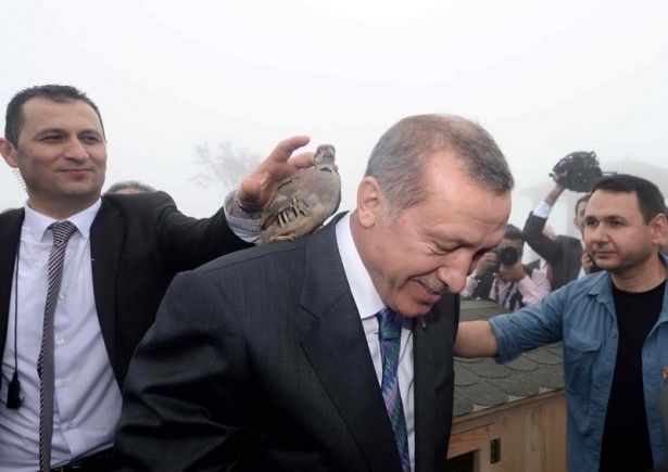 Cumhurbaşkanı Erdoğan'ın başına keklik kondu 2