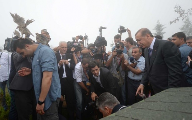 Cumhurbaşkanı Erdoğan'ın başına keklik kondu 20