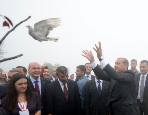 Cumhurbaşkanı Erdoğan'ın başına keklik kondu 21