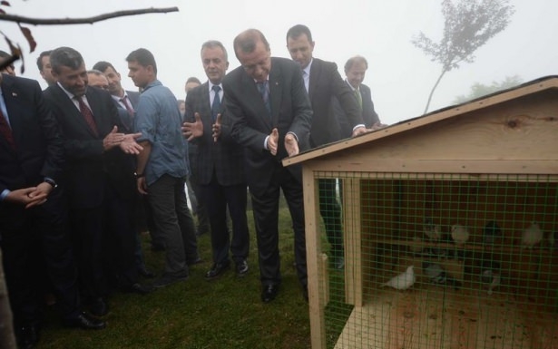 Cumhurbaşkanı Erdoğan'ın başına keklik kondu 23