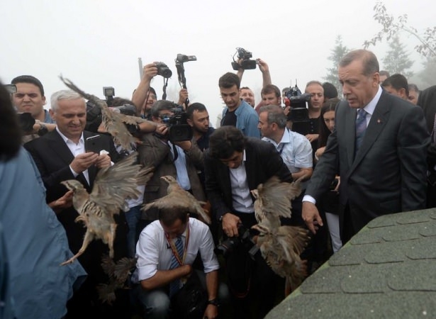 Cumhurbaşkanı Erdoğan'ın başına keklik kondu 24