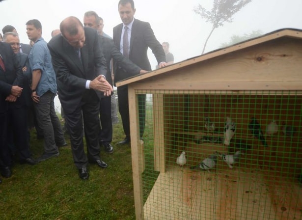 Cumhurbaşkanı Erdoğan'ın başına keklik kondu 25