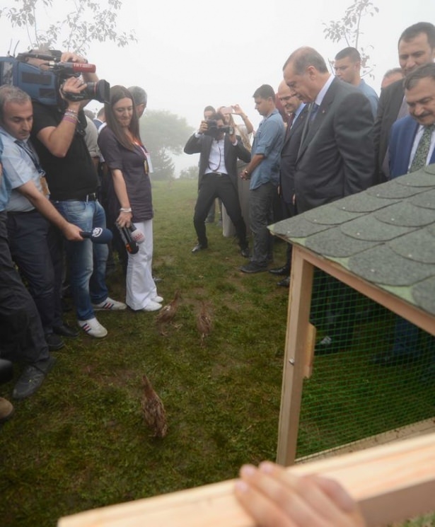 Cumhurbaşkanı Erdoğan'ın başına keklik kondu 26