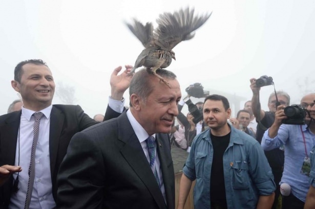 Cumhurbaşkanı Erdoğan'ın başına keklik kondu 3