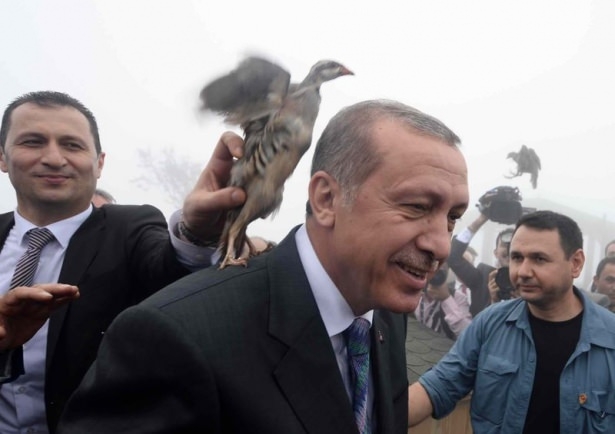 Cumhurbaşkanı Erdoğan'ın başına keklik kondu 5