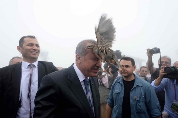 Cumhurbaşkanı Erdoğan'ın başına keklik kondu 6