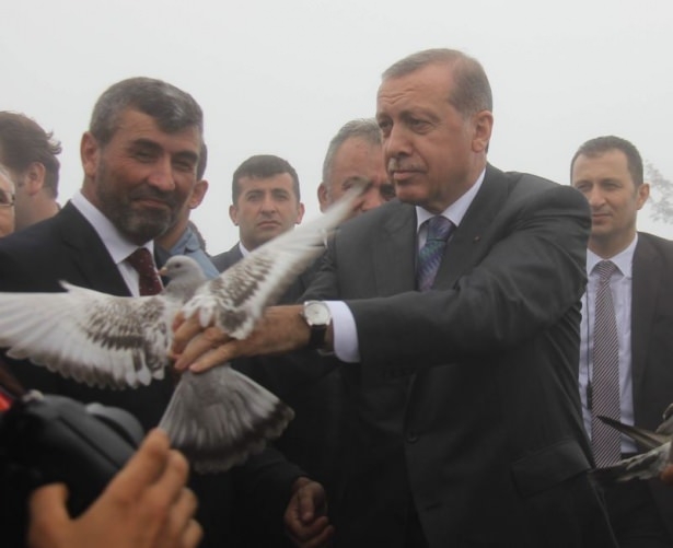 Cumhurbaşkanı Erdoğan'ın başına keklik kondu 7