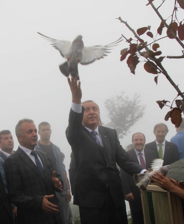 Cumhurbaşkanı Erdoğan'ın başına keklik kondu 8
