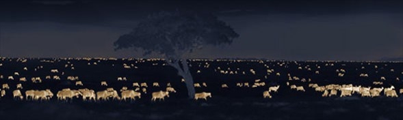 Gecelerin avcıları 'Aslanlar' 13