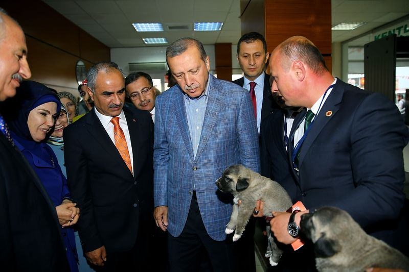 Fotoğraflarla Cumhurbaşkanı Erdoğan'ın bir yılı 32