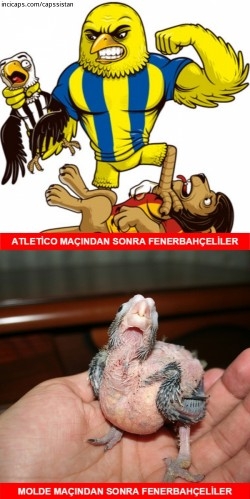 Fenerbahçe-Molde Caps'leri 21
