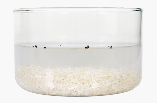 Pirinç Suyunun 7 Faydası! 3