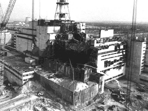 Çernobil, Yabani Hayvanlar İçin Cennet Oldu 1