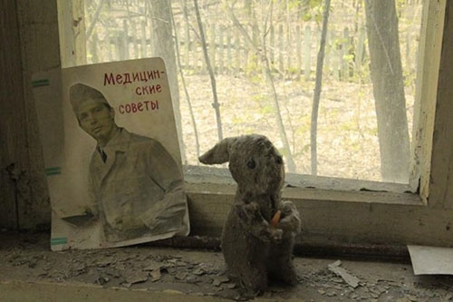Çernobil, Yabani Hayvanlar İçin Cennet Oldu 4