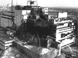 Çernobil, Yabani Hayvanlar İçin Cennet Oldu
