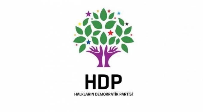 HDP Milletvekilleri 1