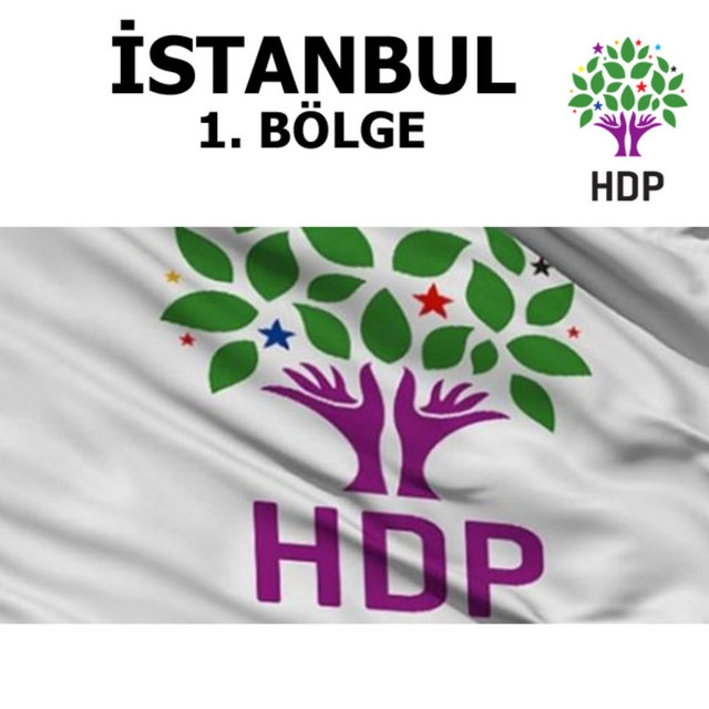 HDP Milletvekilleri 29