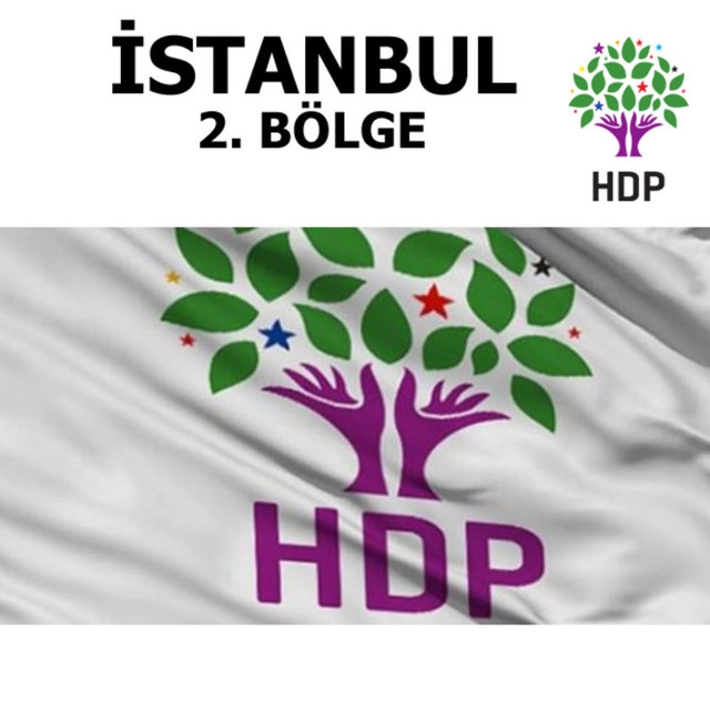 HDP Milletvekilleri 31