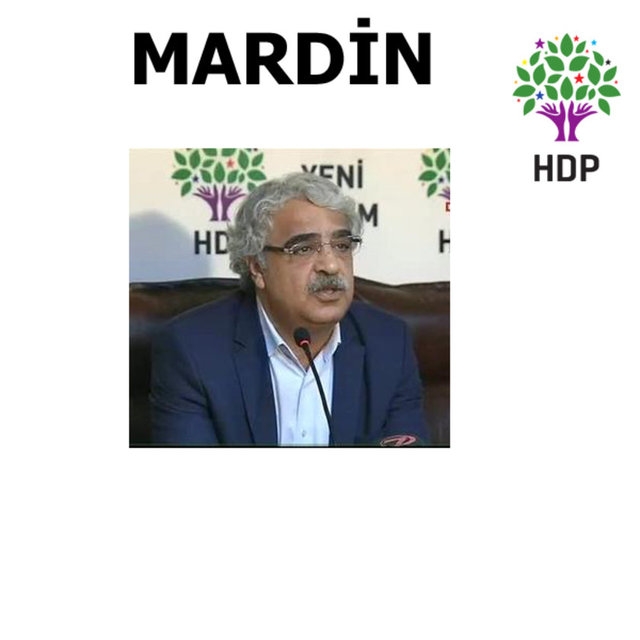 HDP Milletvekilleri 38