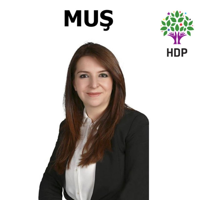 HDP Milletvekilleri 43