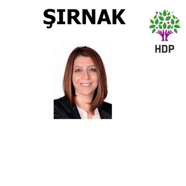HDP Milletvekilleri 53