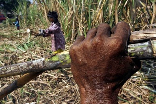 El Nino, Milyonlarca Afrikalıyı Tehdit Ediyor! 7