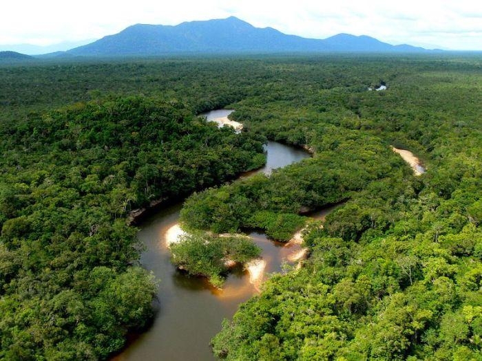 Amazon Ormanlarında Harika Bir Tur 31