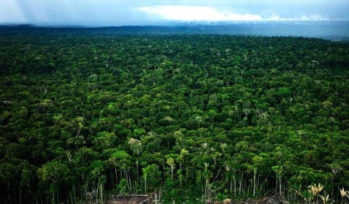Amazon Ormanlarında Harika Bir Tur 34