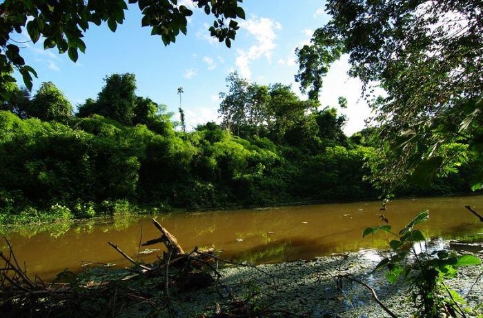 Amazon Ormanlarında Harika Bir Tur 4
