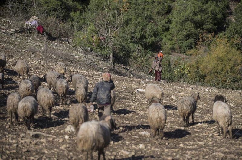 Türkmen Köyleri 'Hayalet Şehre' Döndü 30