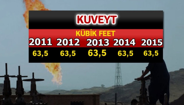 Doğalgaz Zengini Ülkeler 38