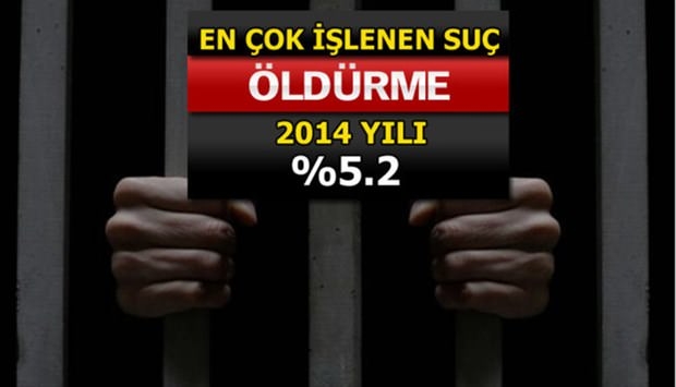 Türkiye'de En Çok İşlenen Suçlar 12