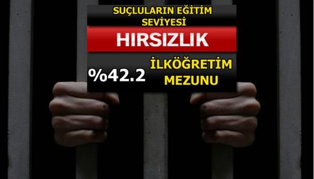 Türkiye'de En Çok İşlenen Suçlar 13