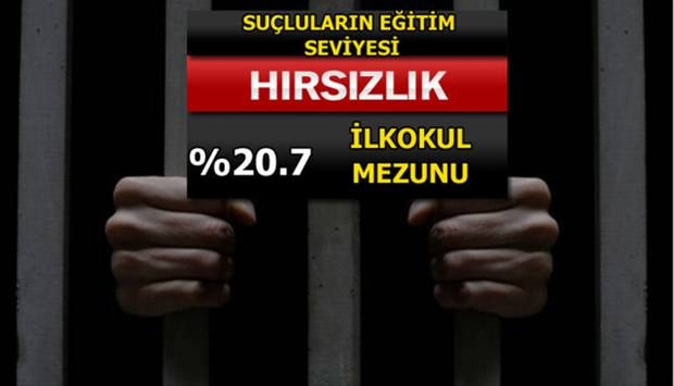 Türkiye'de En Çok İşlenen Suçlar 14