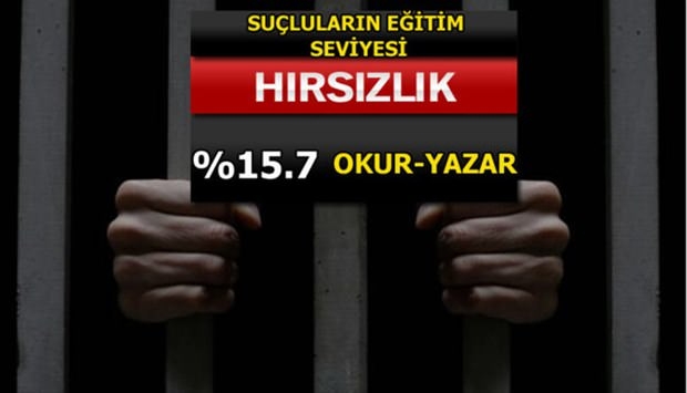 Türkiye'de En Çok İşlenen Suçlar 15