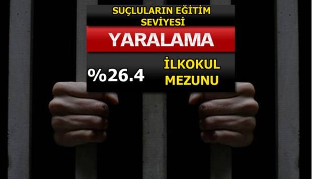 Türkiye'de En Çok İşlenen Suçlar 17