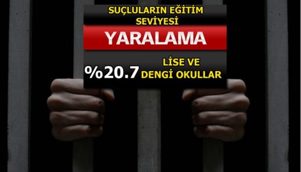 Türkiye'de En Çok İşlenen Suçlar 18