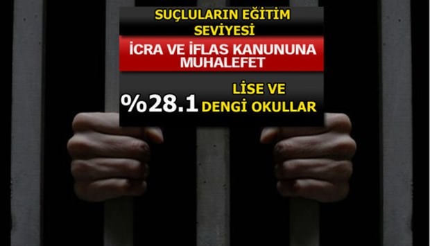 Türkiye'de En Çok İşlenen Suçlar 19