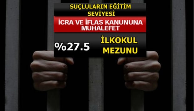 Türkiye'de En Çok İşlenen Suçlar 20