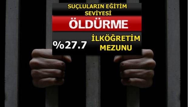 Türkiye'de En Çok İşlenen Suçlar 21