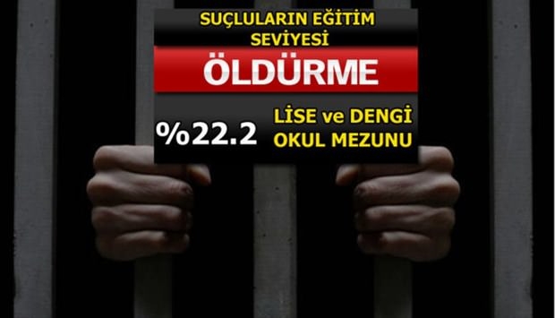 Türkiye'de En Çok İşlenen Suçlar 22