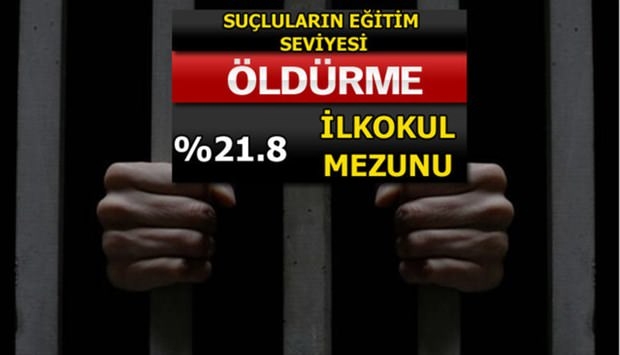 Türkiye'de En Çok İşlenen Suçlar 23