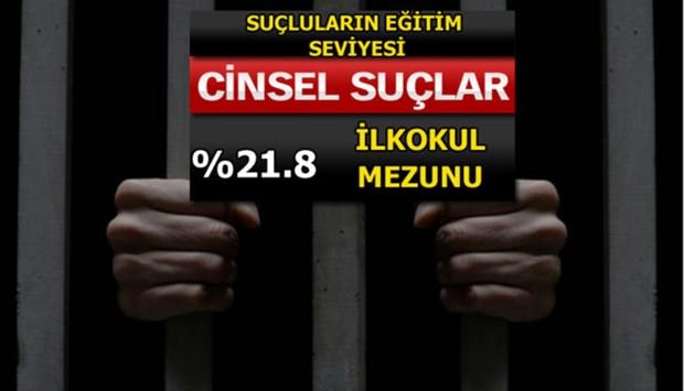 Türkiye'de En Çok İşlenen Suçlar 25
